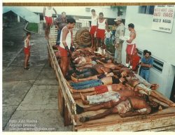 O massacre de Eldorado dos Carajás
