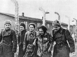 Soviéticos libertaram aprisionados em Auschwitz