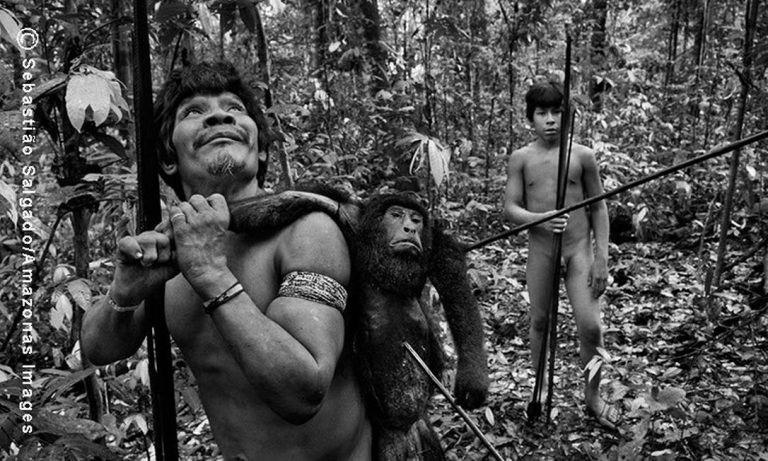 Amazônia: os novos instrumentos do saque