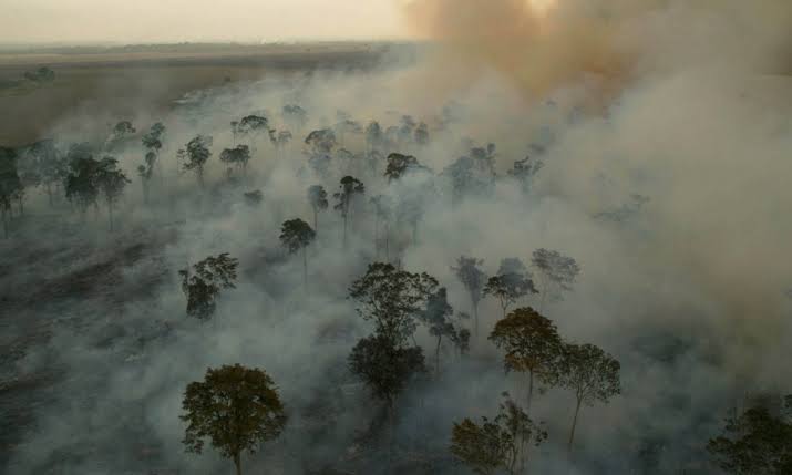 Bolsonaro incentiva latifundiários a  queimarem Amazônia