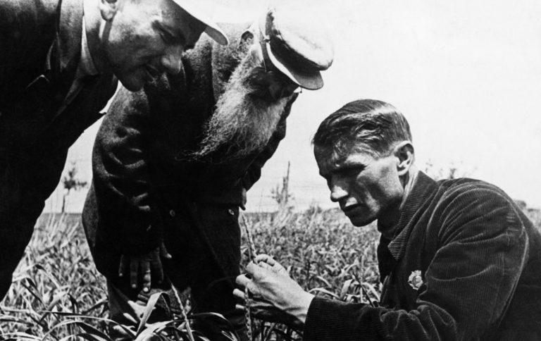 Lysenko e a propaganda anticomunista contra a URSS