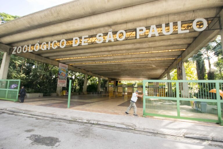 Governo de São Paulo privatiza Zoológico e Jardim Botânico