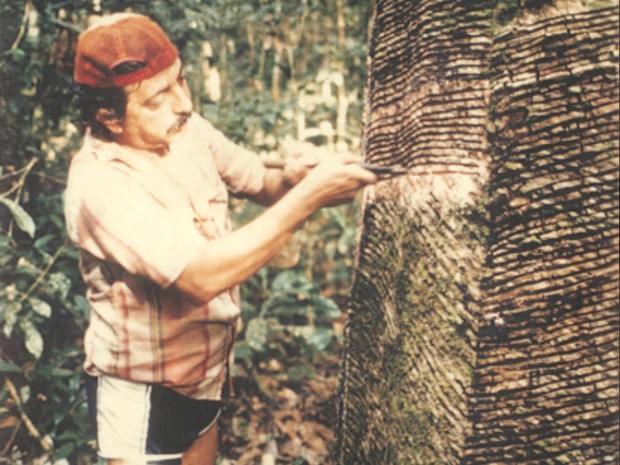 A vida pela floresta: Chico Mendes sob o olhar de um seringueiro Sem Terra