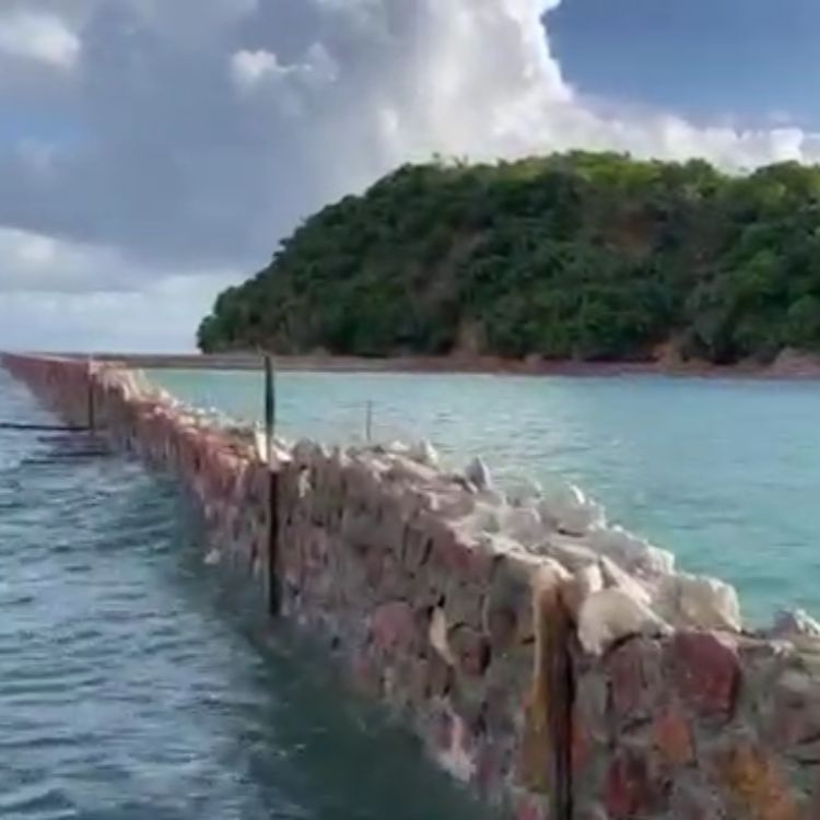 População denuncia “praia particular” de milionário na Ilha dos Frades