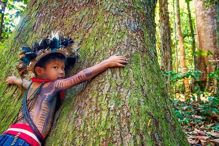 Proteção de terras indígenas na Amazônia previne 15 milhões de casos de doenças anualmente