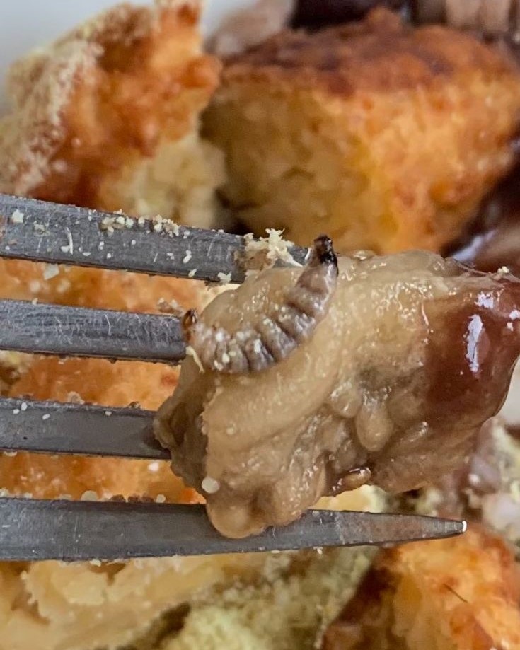 Restaurante universitário serve comida com larvas