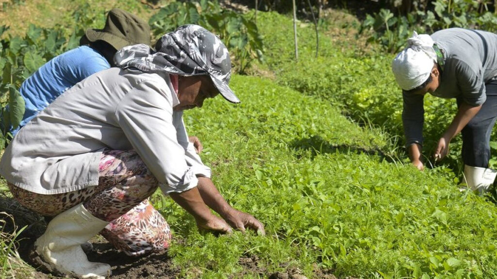 Alimentação saudável pode e deve ser conquistada pelos trabalhadores. Foto: Agência Brasil