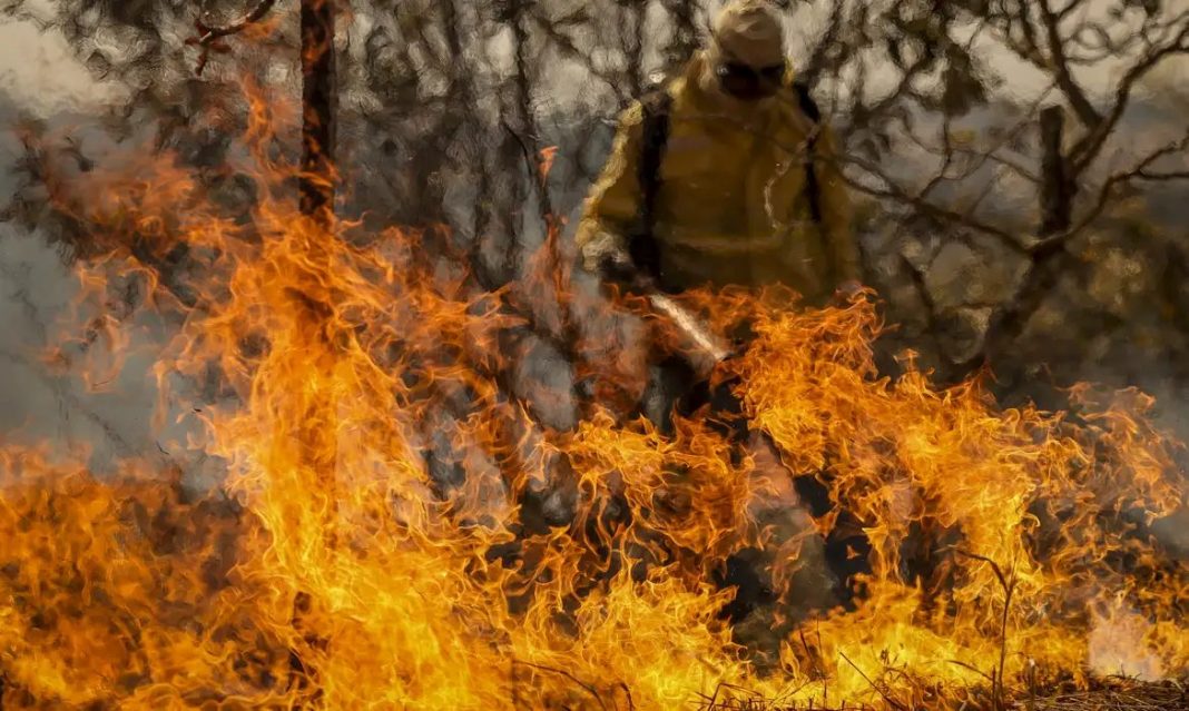 Queimadas em Ribeirão Preto e em todo o interior de São Paulo foram 99,9% causadas pela ação humana, diz a Defesa Civil. Foto: Marcelo Camargo/Agência Brasil