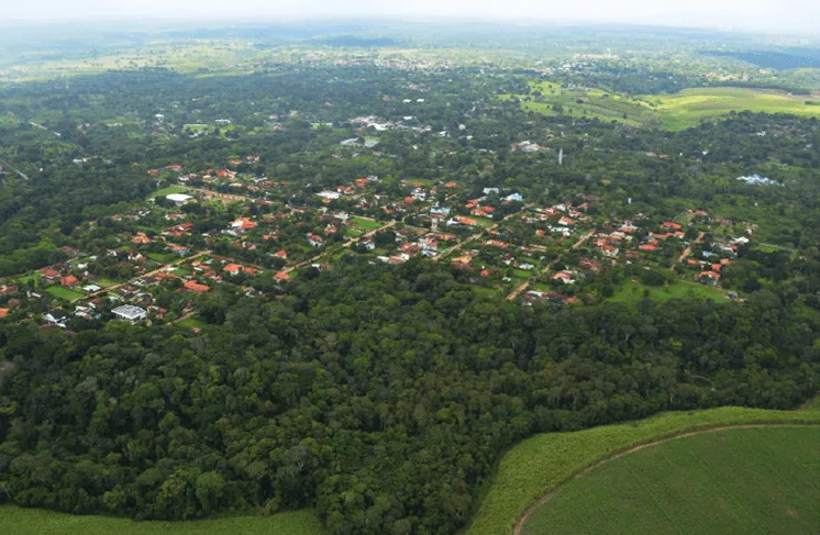 Área de Proteção Ambiental Aldeia Beberibe. Foto: Agência Pernambucana de Meio Ambiente/CPRH