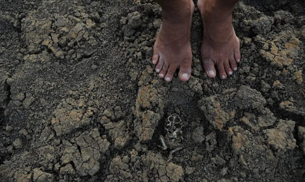 População e biomas nativos do Piauí sofrem com a crise climática. Foto: Fernando Frazão/Agência Brasil