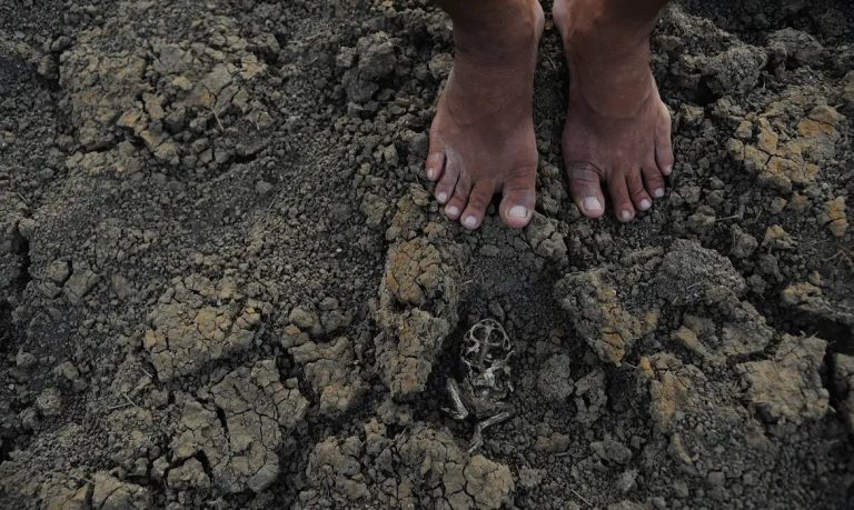 Crise climática castiga o povo e a caatinga do Piauí