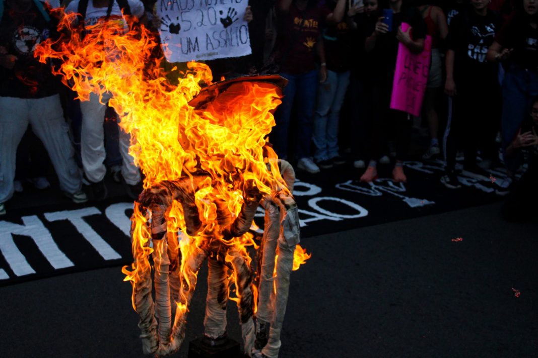 Ato em SP queima catraca em forma de protesto. Foto: Wildally Souza JAV/SP.