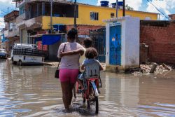 Jardim Pantanal WILDALLY SOUZA