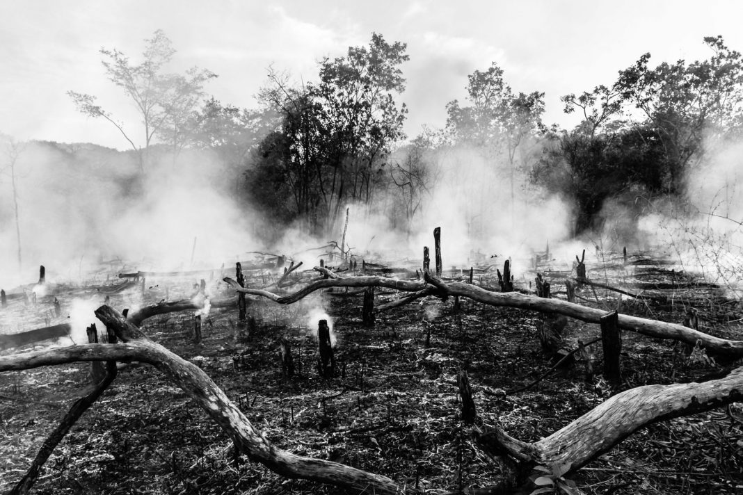 CRIME AMBIENTAL. Queimadas no Pantanal são intensificadas pelo agronegócio. Foto: Maxwell Vilela (JAV/MG)