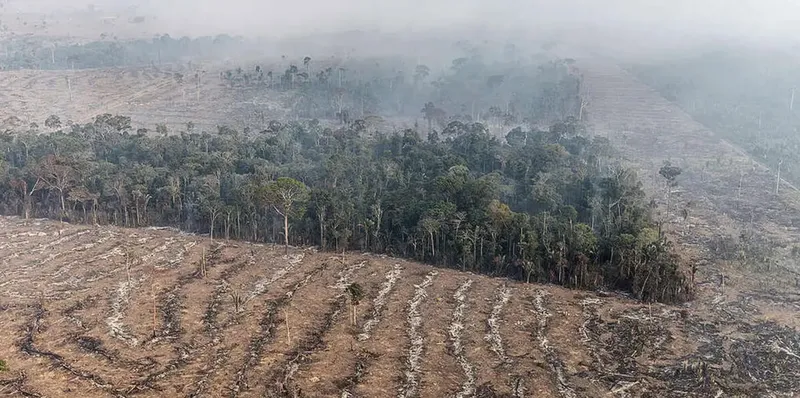 DEVASTAÇÃO. A PL da Devastação fragiliza a ferramenta de controle da Política Nacional de Meio Ambiente. Foto: Reprodução